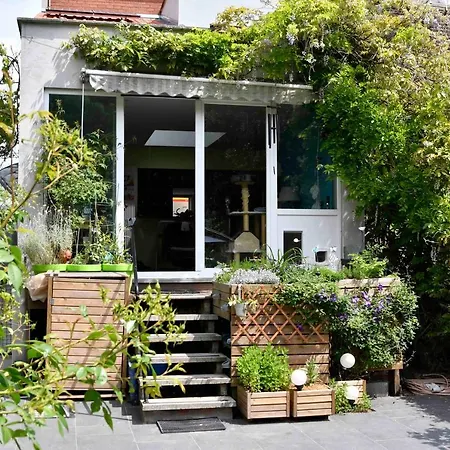 住宿加早餐酒店 Les Glycines Mauves